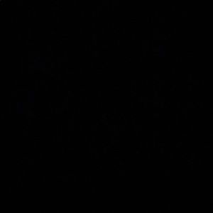 Meet your Posher, Musarrat malkana